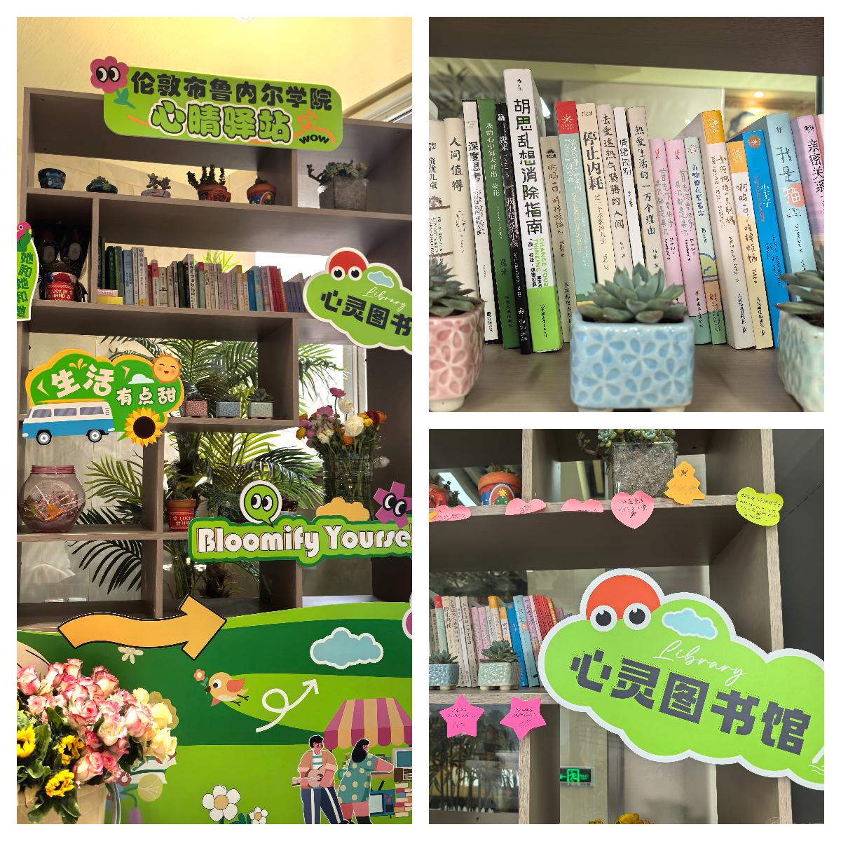 下载 (7).jpg 下载 (7).jpg